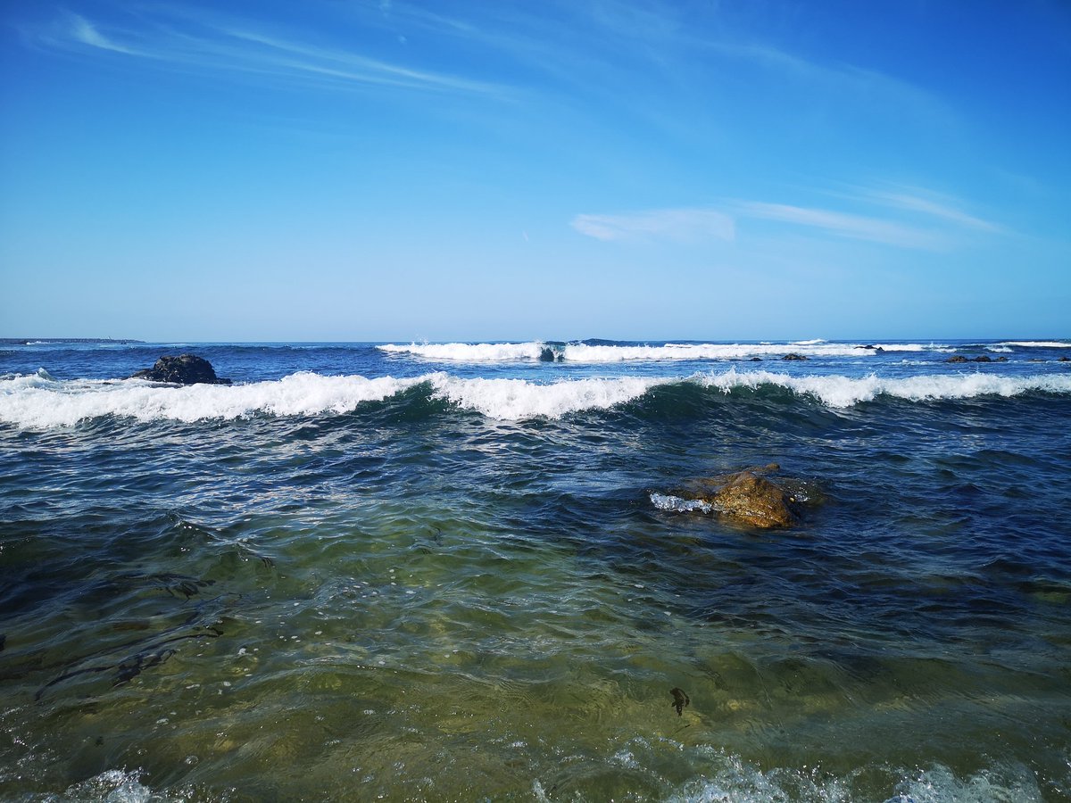 2025/06/22
O silêncio do MAR