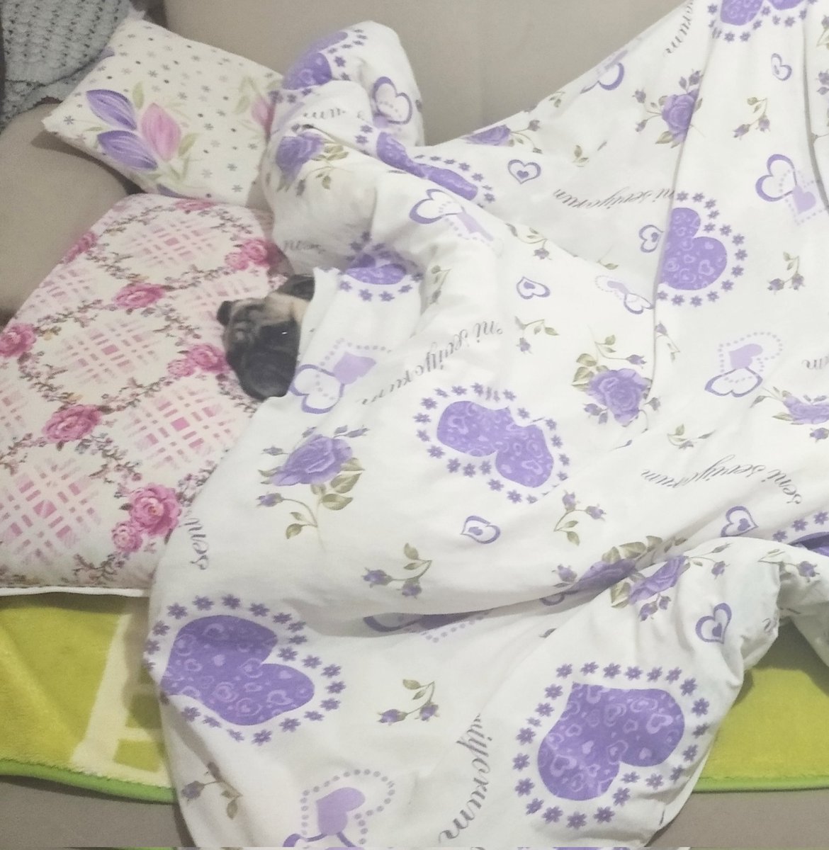 Bado kalk össyi kaçırdun