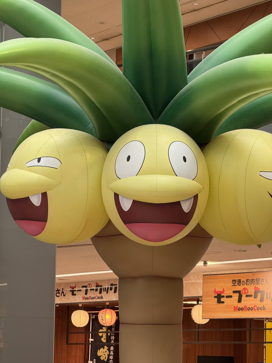 【鹿児島→宮﨑の旅】
研修会・学会の講師で鹿児島・宮﨑をまわってきました。

環境が豊かで、人の心が暖かい、ステキな地域でした。また行きたいなぁ。