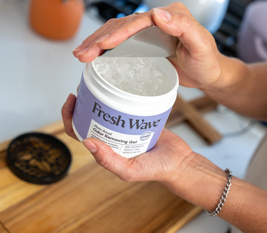 Fresh Wave tweet media