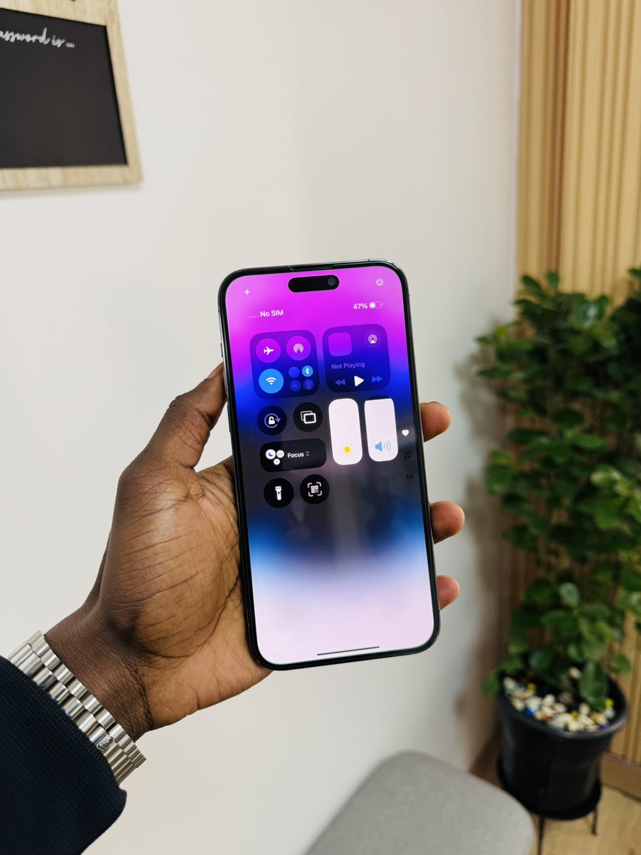 iPhone - セント 2023年 セントヘレナ フェアリークイーン ウナとライオン 5