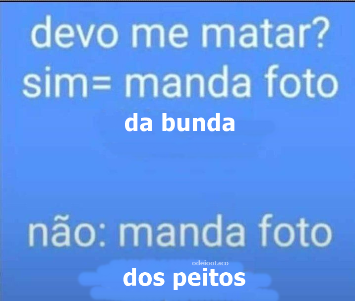 perfil dedicado a gatinhos e peitos (@odeiootaco) on Twitter photo 