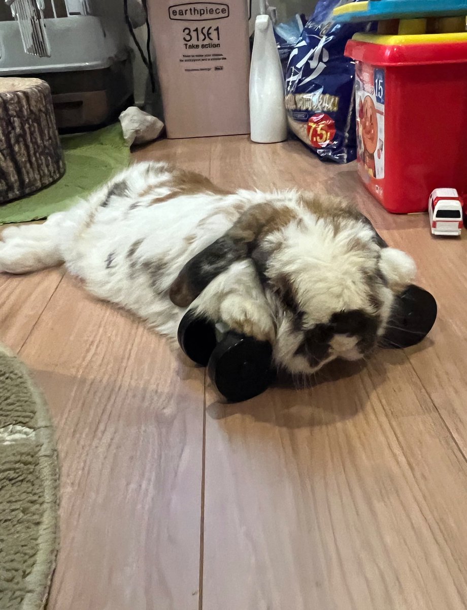 ニューブロックで遊んだ