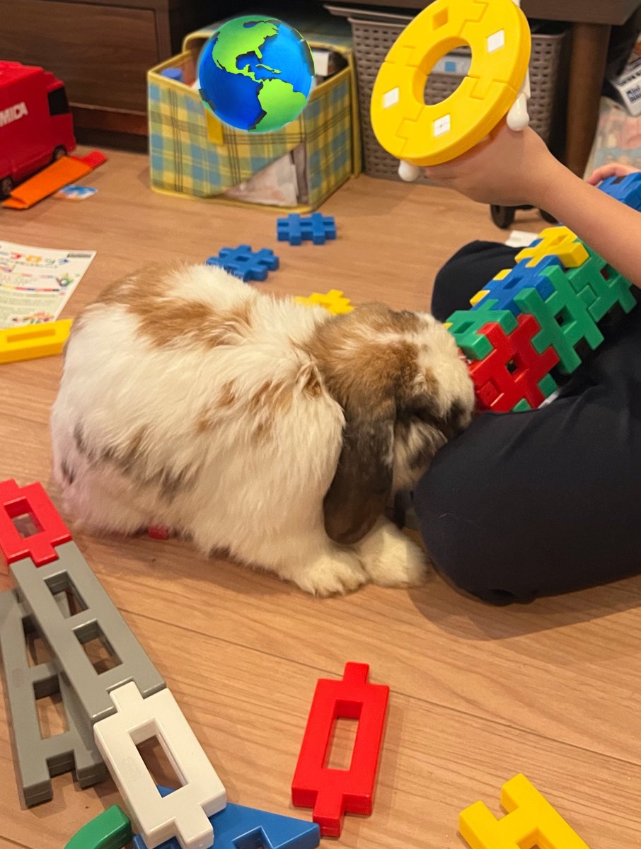 一緒に遊びたい