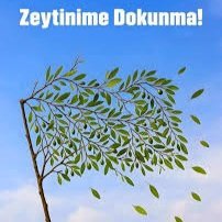 #ZeytinimeDokunma