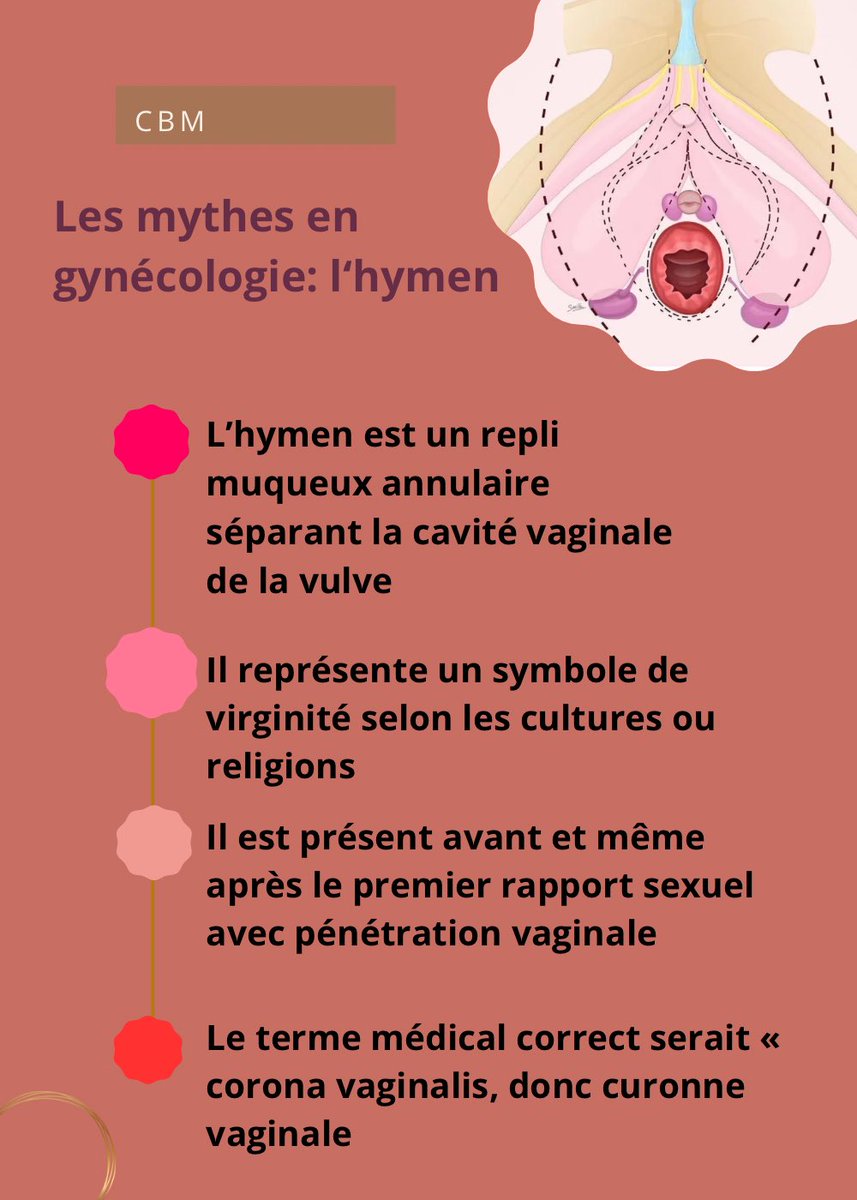 Quels mythes et quelles réalités sur l’hymen?

L’hymen est un repli muqueux sans fonction particulière séparant la cavité vaginale de la vulve.  
Le terme médical correct serait « corona vaginalis », la curonne vaginale. Ce n'est pas une membrane pénétrable qu‘on déchire lors du