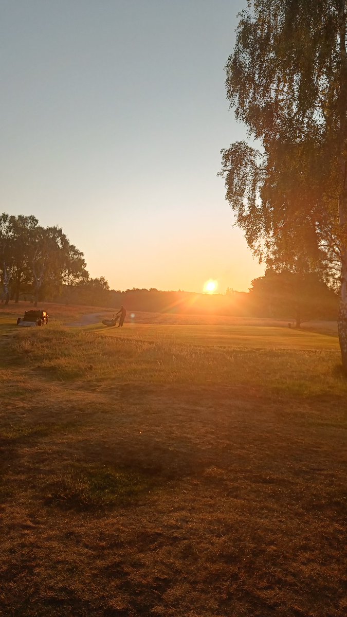 George Nock tweet media