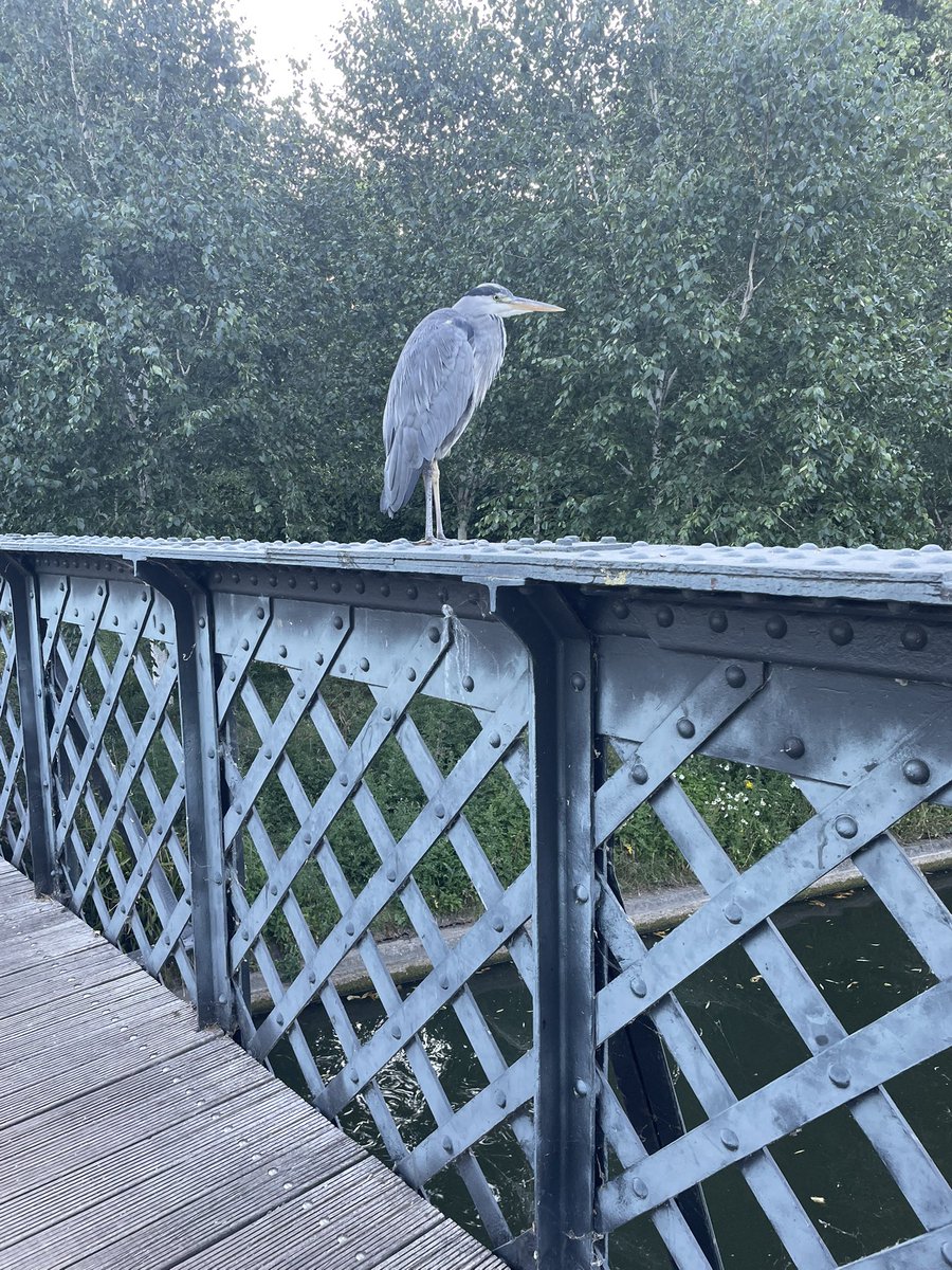 Helen Lane tweet media