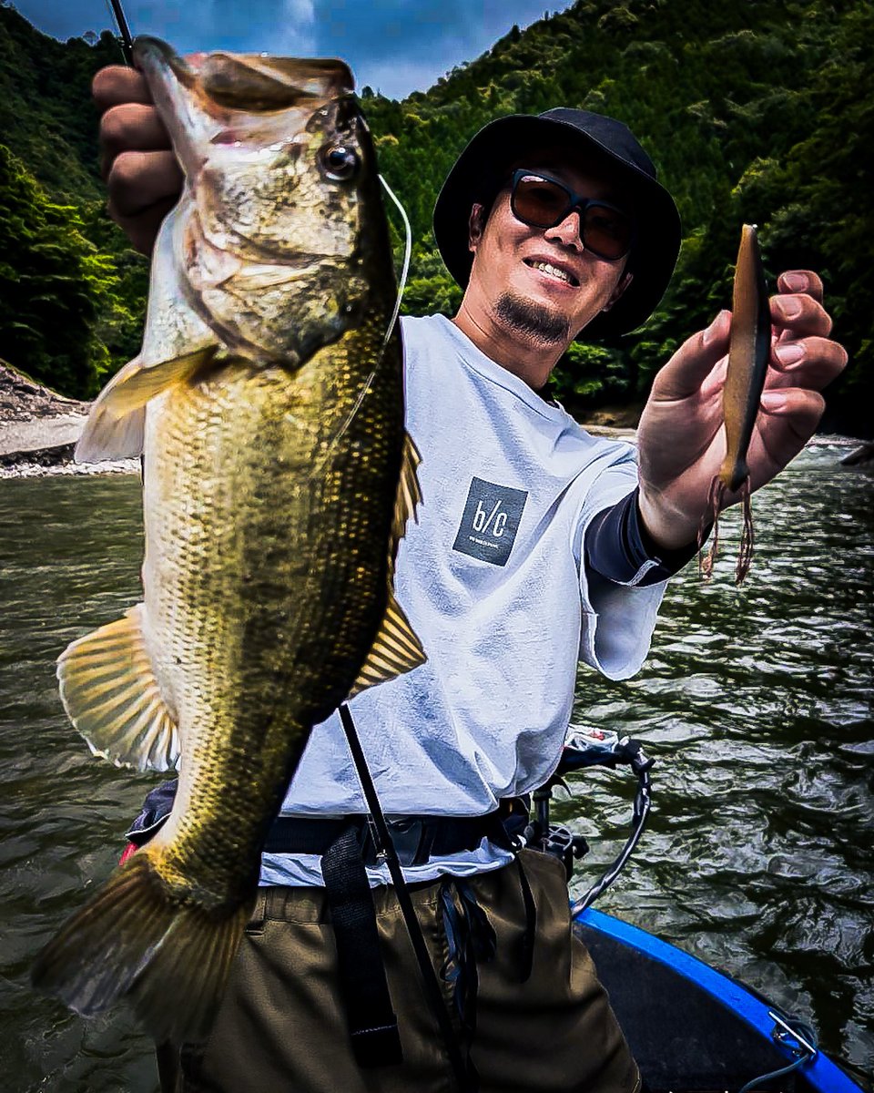 lifegraph_woody's tweet image. こちらも流入エリアで @TheThreePct  MYSTIK6.5のジャーキング。

寒い時期はボトムで使う事が多かったですが、暑くなって表層付近の展開が多くなってきました。

水面爆発、楽しいです。

#ジャンキーズ 
#池原ダム 
#3pct 
#MYSTIK 
#バスフィッシング