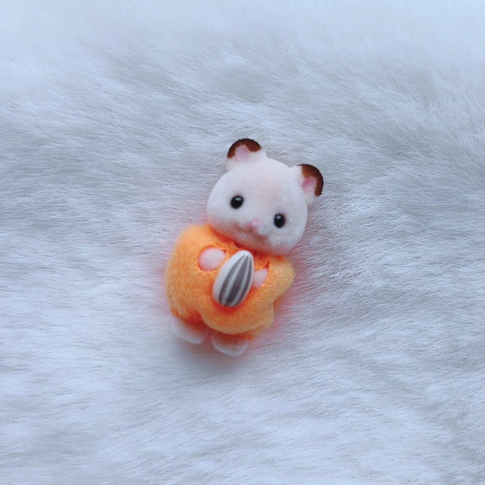 おもち🐹🧡 on X: 