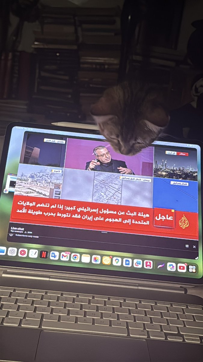 Roashraf4's tweet photo. بطاطا و هو بيتابع الاحداث https://t.co/K9NHUSD5bz