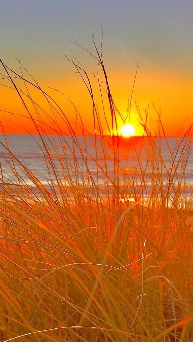 _usamediata's tweet photo. Sunset https://t.co/Zrg33Kh9l5