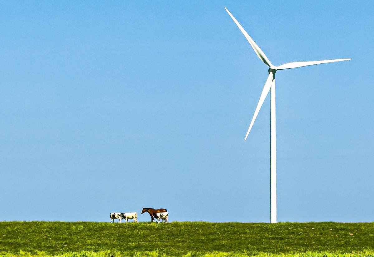 Emmapolder Uithuizen