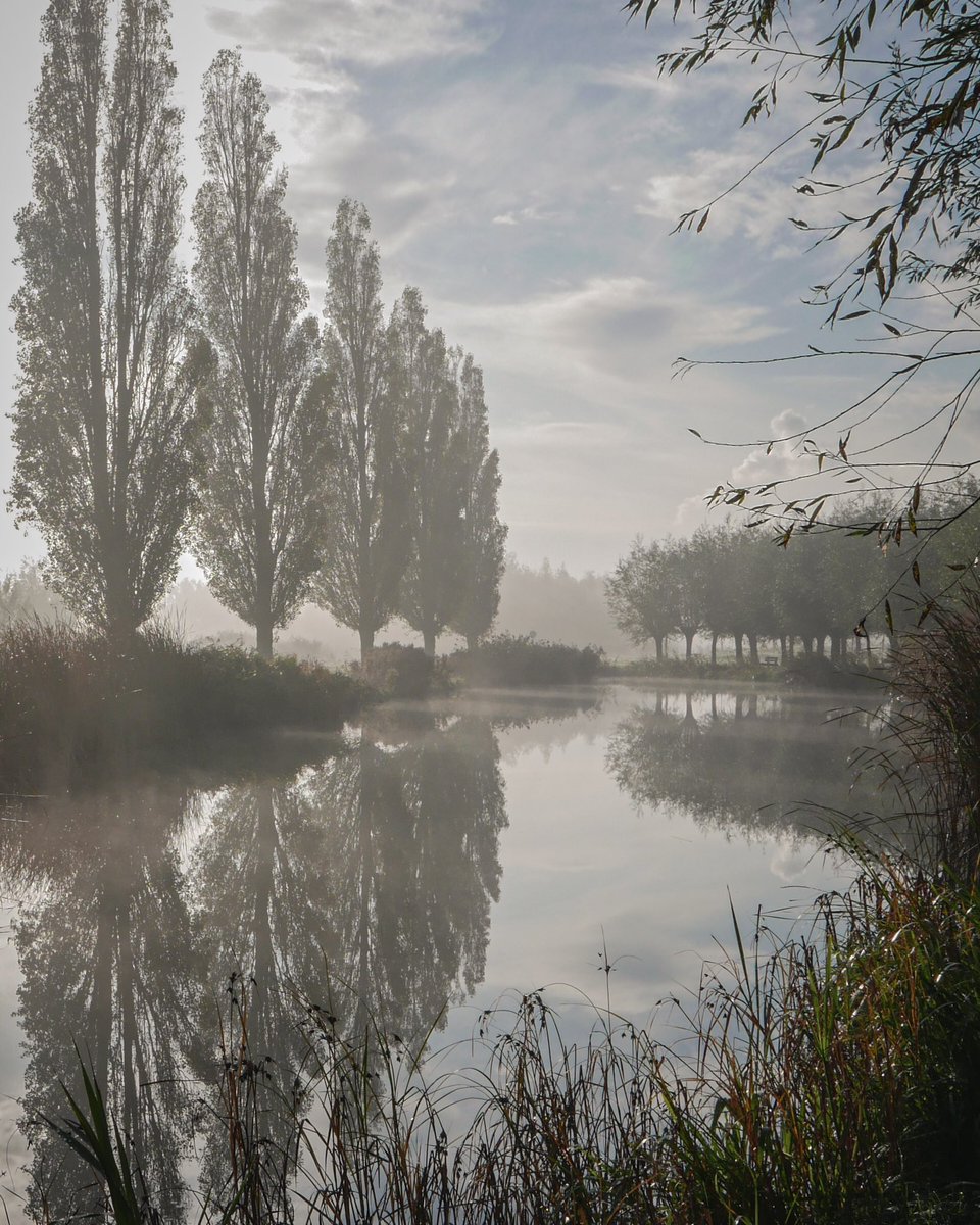 Connie van Vuuren (@convust) on Twitter photo Bij #junieke_fotografie vandaag #eigenkeus Ik kies voor deze foto genomen in #Schipluiden op een mistige ochtend <a href="/bkfotobetsy/">Betsymetcamera 2.0</a> Bij #junieke_fotografie vandaag #eigenkeus Ik kies voor deze foto genomen in #Schipluiden op een mistige ochtend <a href="/bkfotobetsy/">Betsymetcamera 2.0</a>