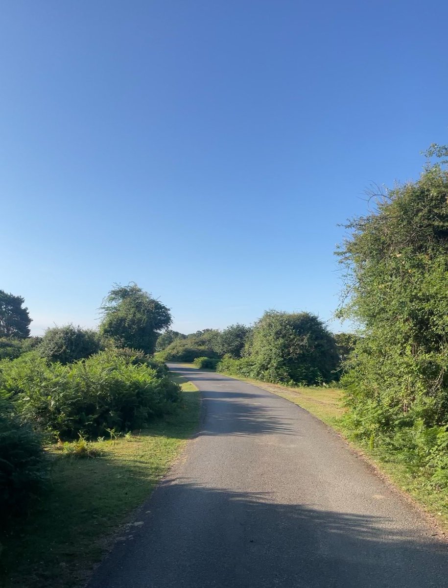 wgsdofe's tweet photo. Beautiful morning out in the New Forest🌳All campers slept well and are ready for day 2!🙌

@WGSWindsorGirls https://t.co/UPebQPQ2Cx