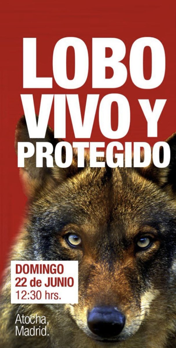 Lobo vivo, Lobo protegido.