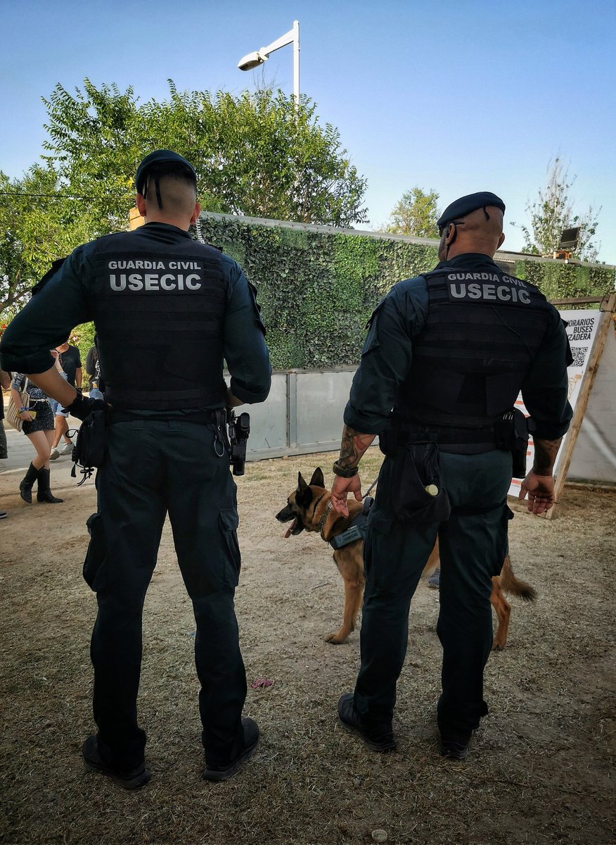 UsecicB's tweet photo. 🎧 Miles de asistentes
🚫 Cero margen al descontrol
🚁 Ojos en el cielo, 👢 botas en el suelo
👮‍♂️ Así trabaja la @guardiacivil
 #GuardiaCivil   #EquipoPEGASO #FiestaSegura #PrevenciónDelDelito #OrdenPúblico  #StopDrogas #USECIC #ARS #GEDEX

https://t.co/DdJYyvCk5a https://t.co/FZbOy7okwt