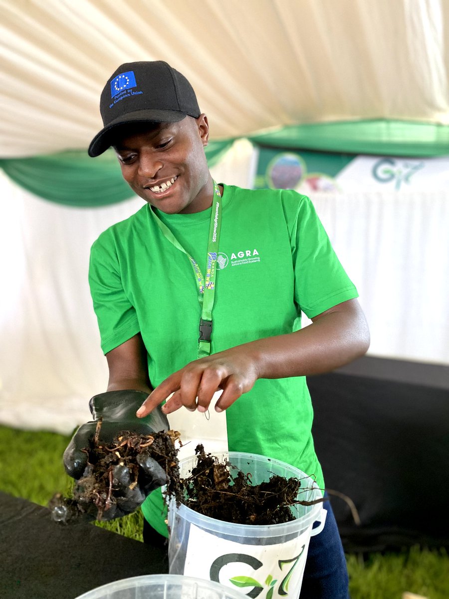 GwizaLtd2024's tweet photo. Curious about #liveworms in compost or veggies grown with vermicompost?
Come visit Gwiza Initiative Ltd at the @AGRA_Africa stand during the #RwandaAgriShow2025!
Discover the magic of possiblism in action! @aeerwanda https://t.co/0htYHGiJ1C