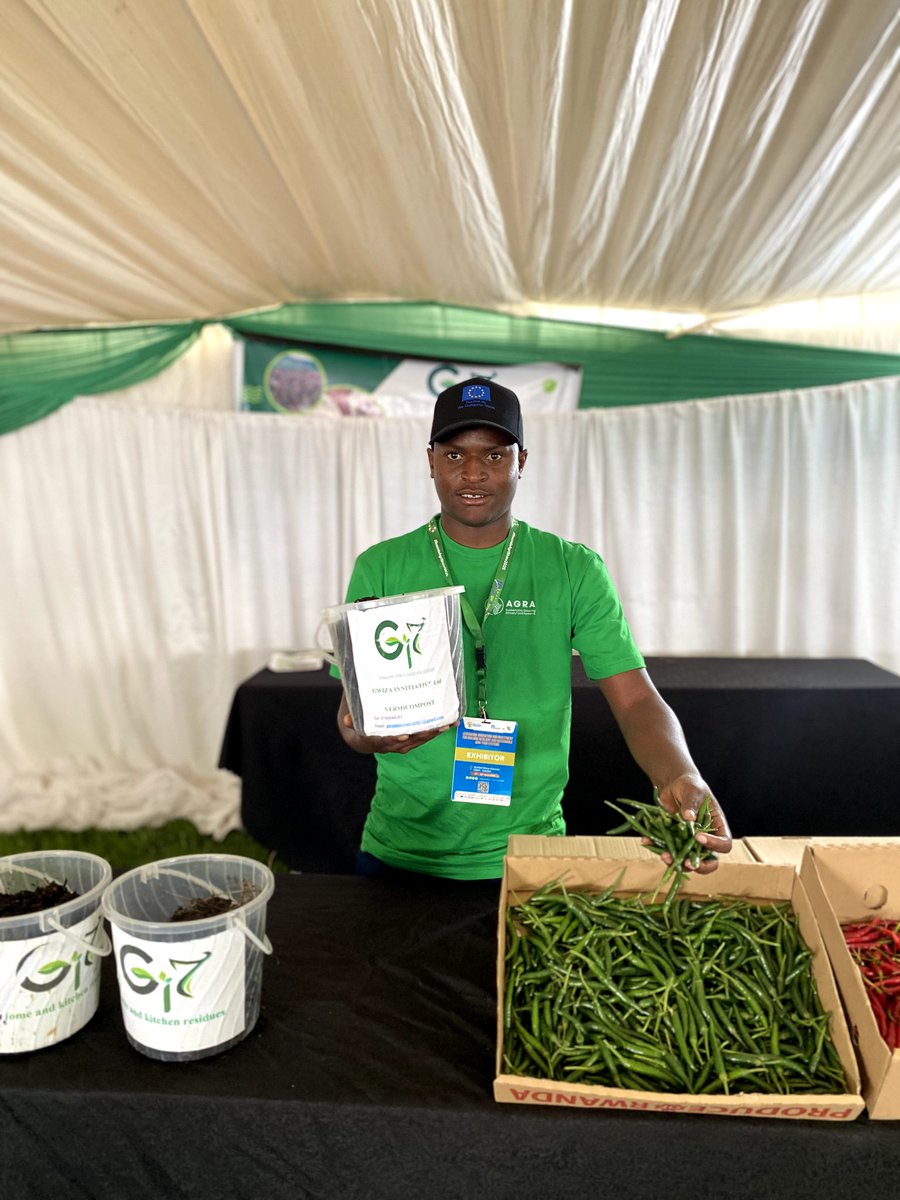 GwizaLtd2024's tweet photo. Curious about #liveworms in compost or veggies grown with vermicompost?
Come visit Gwiza Initiative Ltd at the @AGRA_Africa stand during the #RwandaAgriShow2025!
Discover the magic of possiblism in action! @aeerwanda https://t.co/0htYHGiJ1C