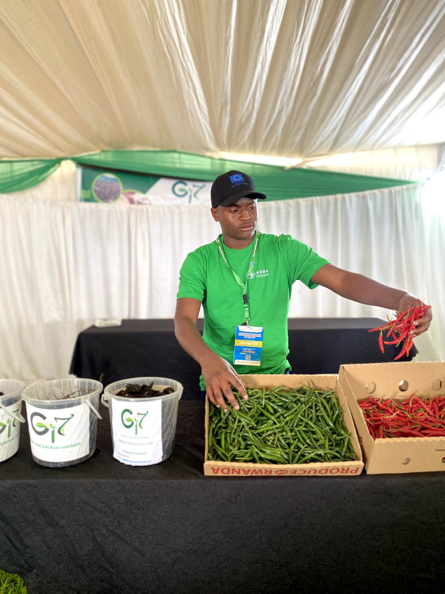 GwizaLtd2024's tweet photo. Curious about #liveworms in compost or veggies grown with vermicompost?
Come visit Gwiza Initiative Ltd at the @AGRA_Africa stand during the #RwandaAgriShow2025!
Discover the magic of possiblism in action! @aeerwanda https://t.co/0htYHGiJ1C