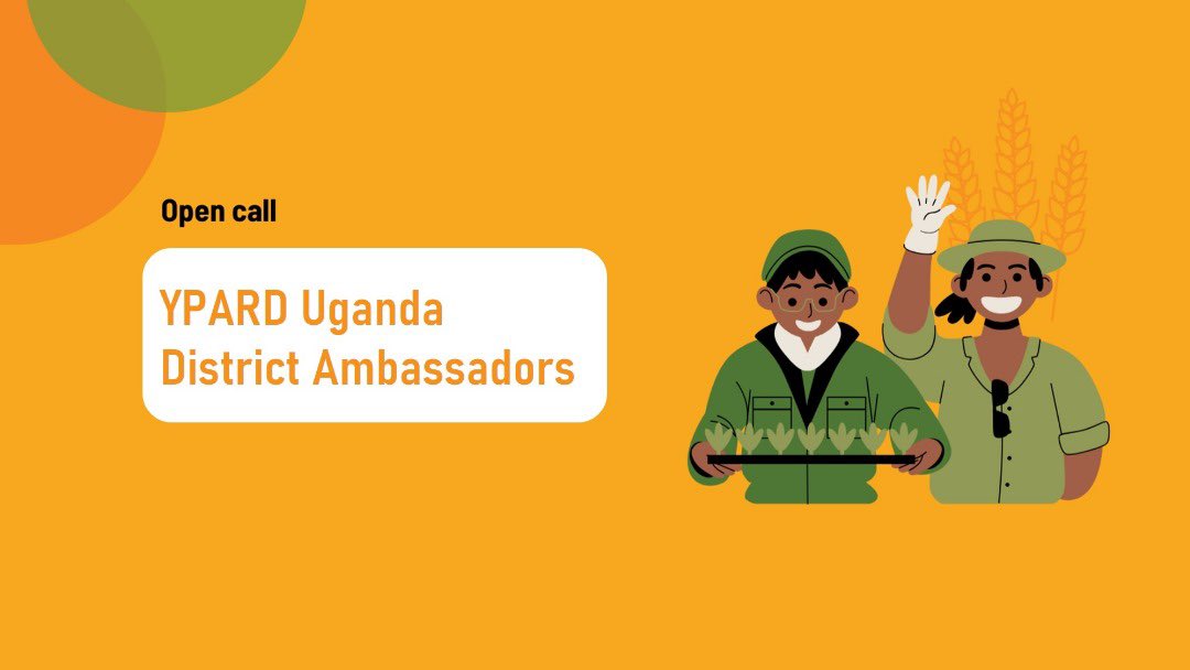 We are seeking District Ambassadors! Passionate young agri-professionals (under 35)! Lead #agrifood systems transformation &amp; empower communities from the grassroots in Uganda.
This is your chance to drive real change. Apply now!
Deadline: 15th July 2025
🔗 shorturl.at/GxLgt