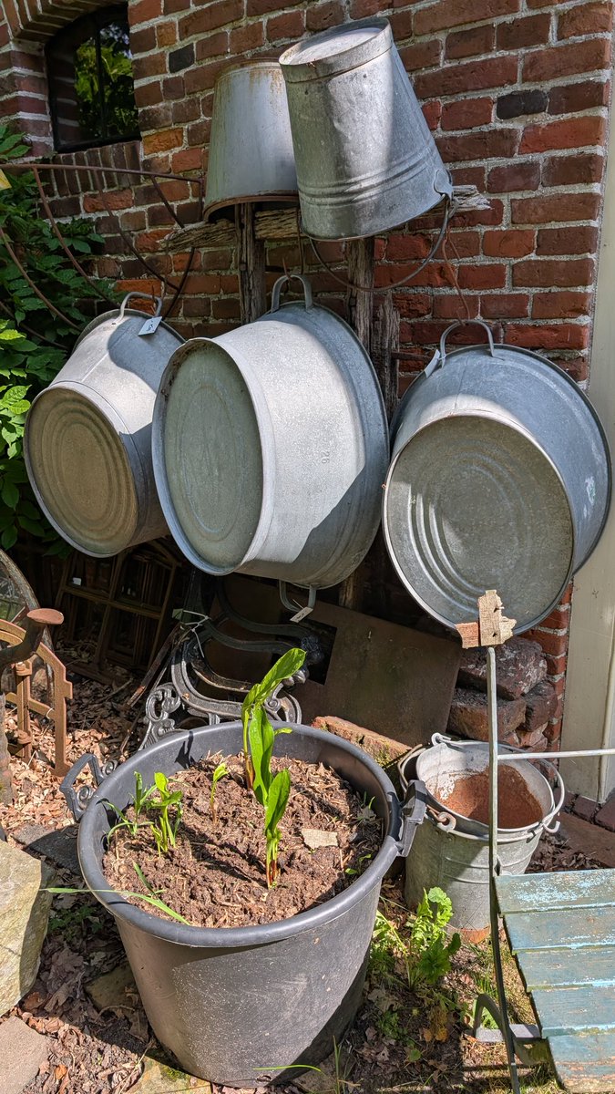 smeerlingantiek's tweet photo. Vroeger gingen kinderen met warm weer buiten spelen met water in een #zinken #teil of #tobbe.
Weet wel zeker dat dat nu nog steeds gebeurt.
Ook de #tuin liefhebbers gebruiken teilen en zinken #emmers.
Daarnaast natuurlijk de oude #natuurstenen #troggen.
Wij hebben dat allemaal. https://t.co/TOUic8A3gi