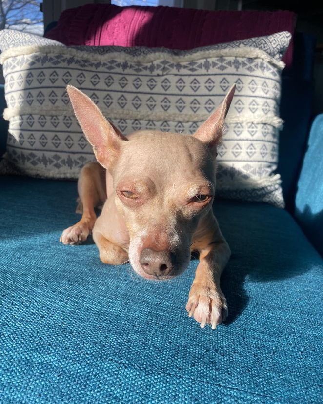 Some things never change.