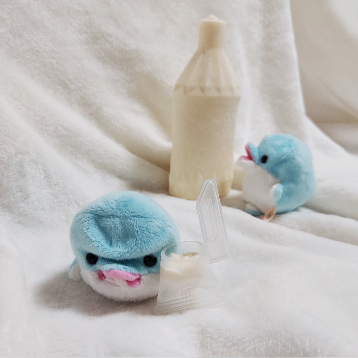 アイス分けっこしよ！
⠀ ⠀ ⠀
不服