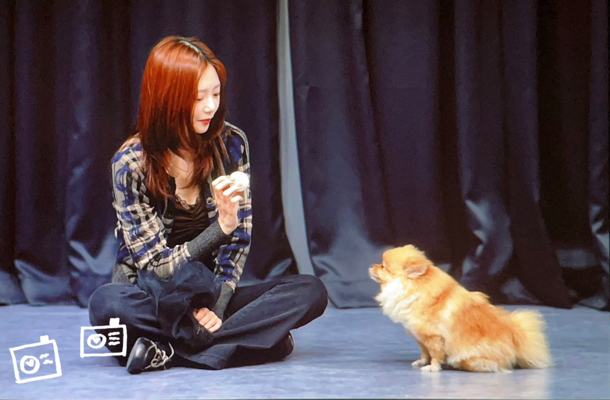 250621 프리뷰🐰🐶
#드림캐쳐 #유아유 #지유 #파이
#Dreamcatcher #UAU  #JIU #PIE