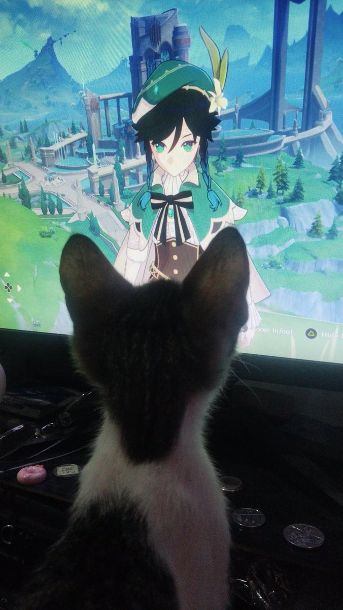 Pengu1nHero's tweet image. even cats love Venti even when he's allergic to them 🥹