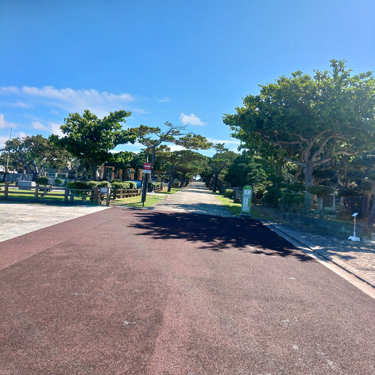 readmit's tweet photo. 明日は慰霊の日。
21日夕方、妻と摩文仁の平和祈���公園の信濃の塔の掃除してきました。
1時間ほどで成果は70L2袋
空華の塔も参拝しました。 https://t.co/tW26uZ0TuN