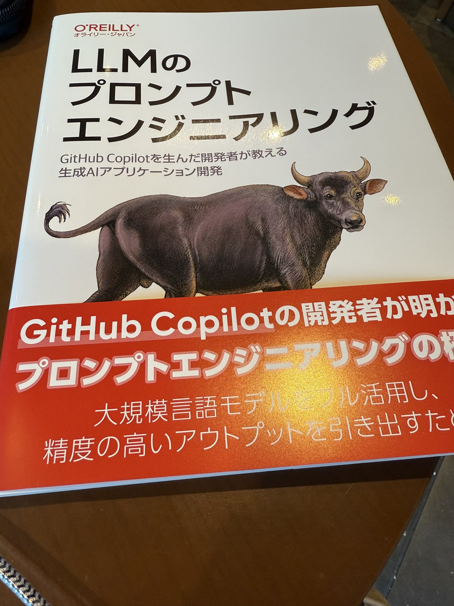 LLMのプロンプトエンジニアリング LLMのプロンプトエンジニアリング - O'Reilly Japan