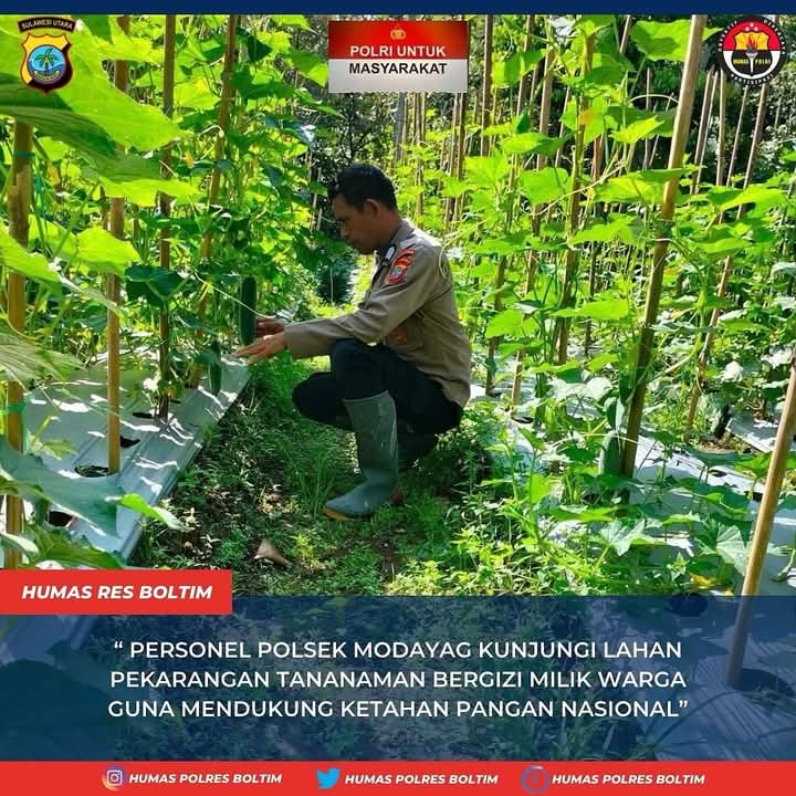 birosdm_sulut's tweet photo. Polda Sulut mendukung Swasemba dan Ketahanan Pangan Indonesia
Polri Siap Kawal dan Sukseskan Asta Cita Presiden Prabowo
#swasembadapangan 
#ketahananpangan 
#polisicintapetani
#poldasulut
#ketahananpanganpoldasulut
#swasembadapanganpoldasulut
#polri
#Polrimendukungketahananpangan https://t.co/xNn9z2sTAG