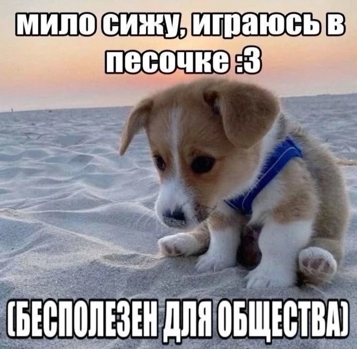 Мири☀️ (@nycho48) on Twitter photo 