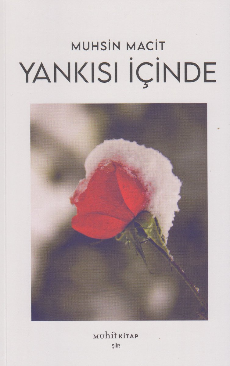 YANKISI İÇİNDE
Şair meslektaşım Muhsin Macit ikinci şiir kitabıyla karşımızda.
Şiirin okulu gurbet, hocası ayrılık.
Dünya gurbetini bizden daha iyi kim duyabilir?
Derdi olan iniler.
Çocukluktan başlayarak süregelen iç sızımızı özgün sesi ile mırıldanıyor Muhsin. Yangısı içinde.