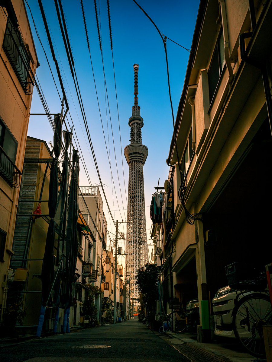 スカイツリー

#写真好きな人と繋がりたい
#カメラ好きな人と繋がりたい