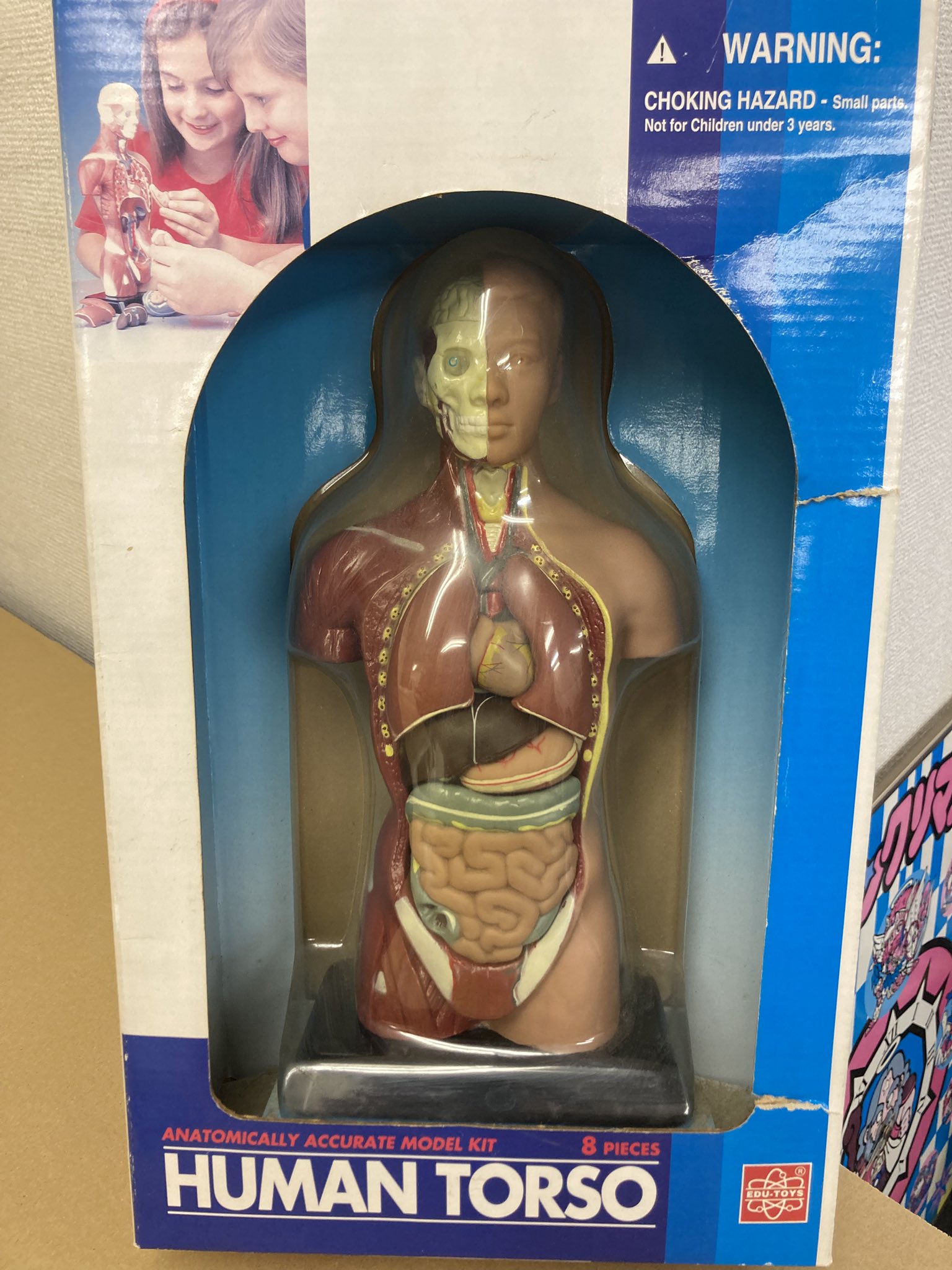 ポルノグラフィティ 人体模型 Amazon.co.jp: 人体模型 ポルノグラフィティ A!SMART限定 : 産業・研究