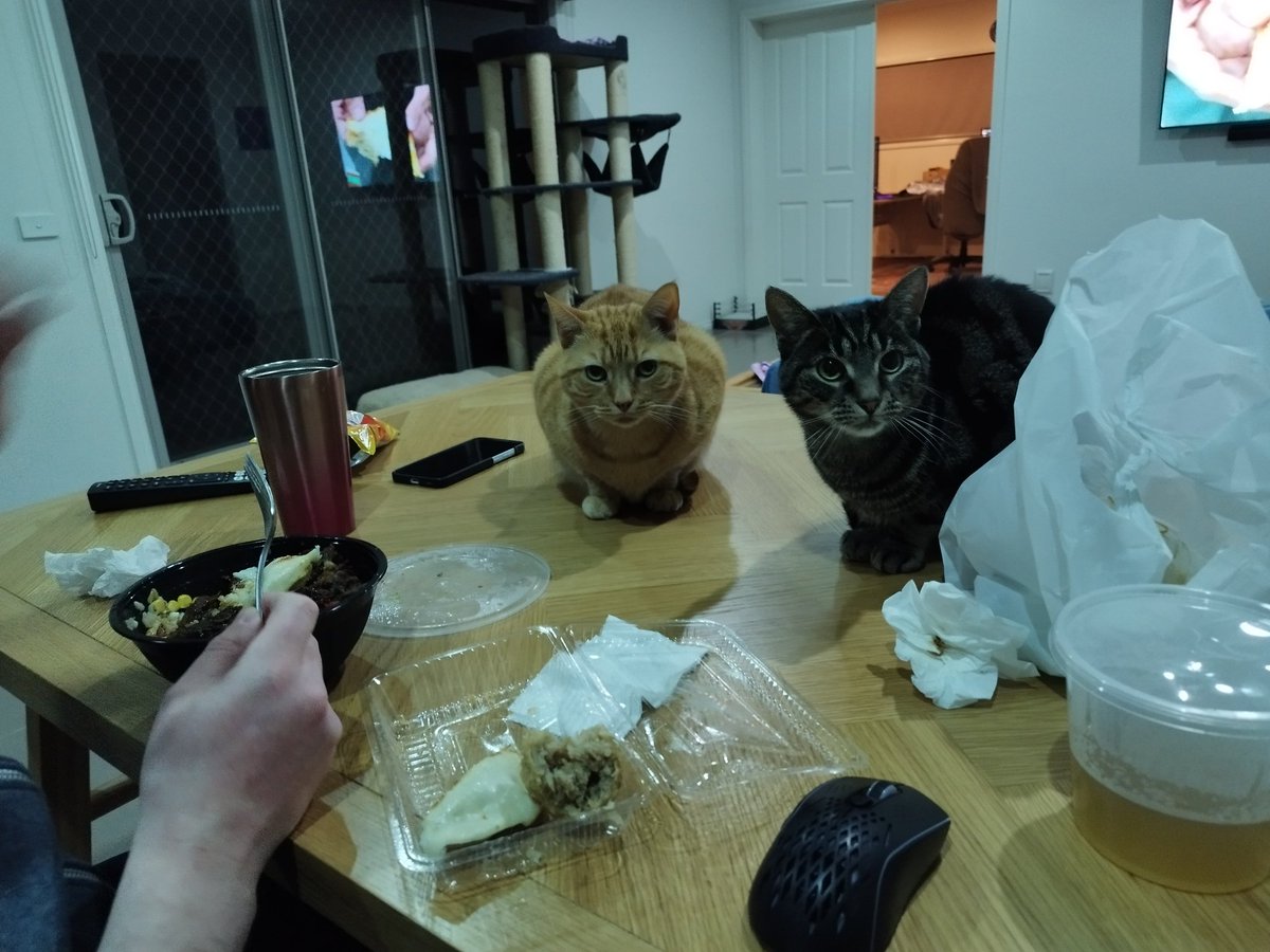 Share????
🧡Cooper and 💛Dale