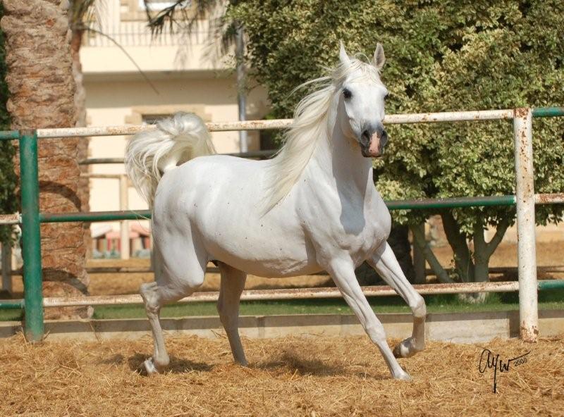 mohamed74984167's tweet photo. إن آمنت أنك محدود 
ستعيش في سجن لا جدران له ! 
وحين تغيّر المعتقد ، يتبدل العالم من حولك دون أن يتحرك شيء .. 
لأنك لم تأت لتتأقلم ، بل لتتذكر قوتك 🤔

- واين داير https://t.co/eCHiCRByB7