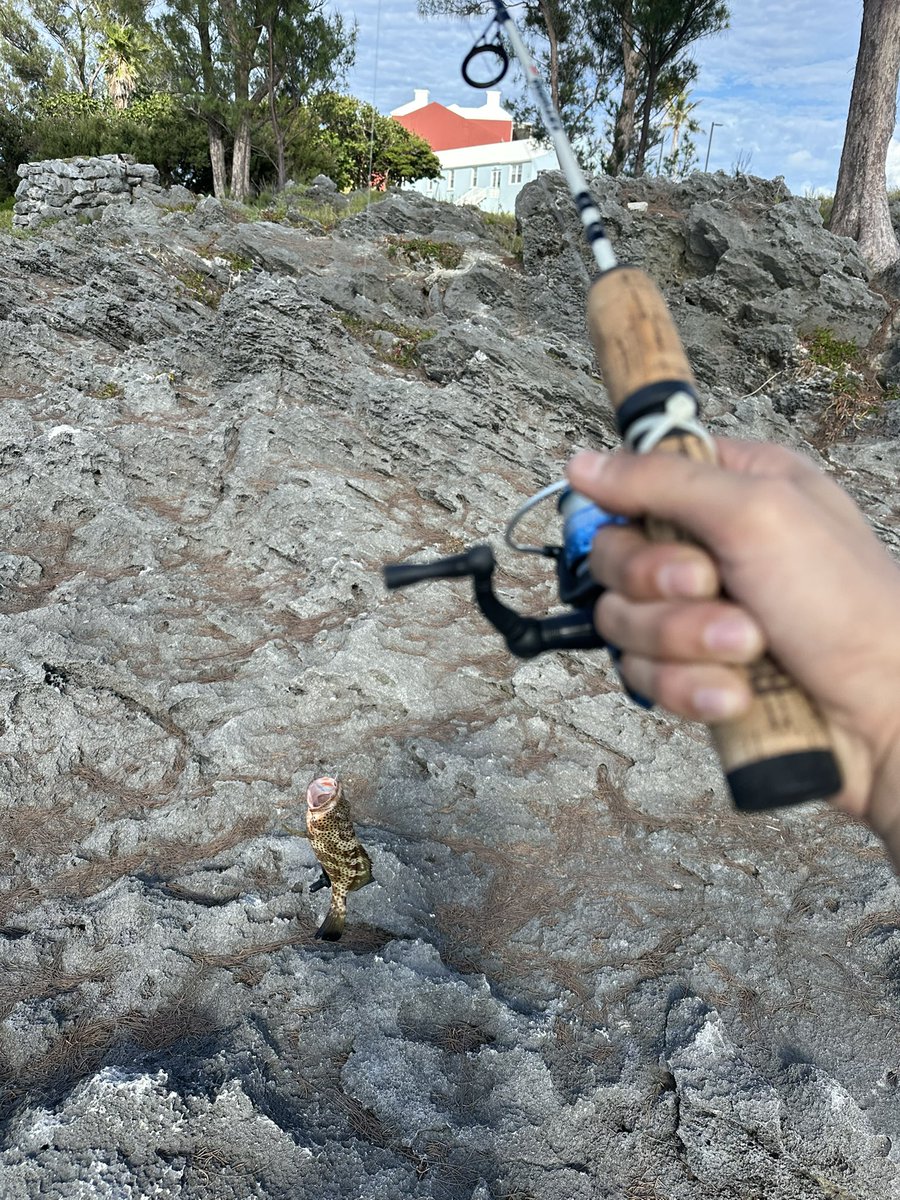 Apa itu kerja, mancing lah. Pang og 🤣