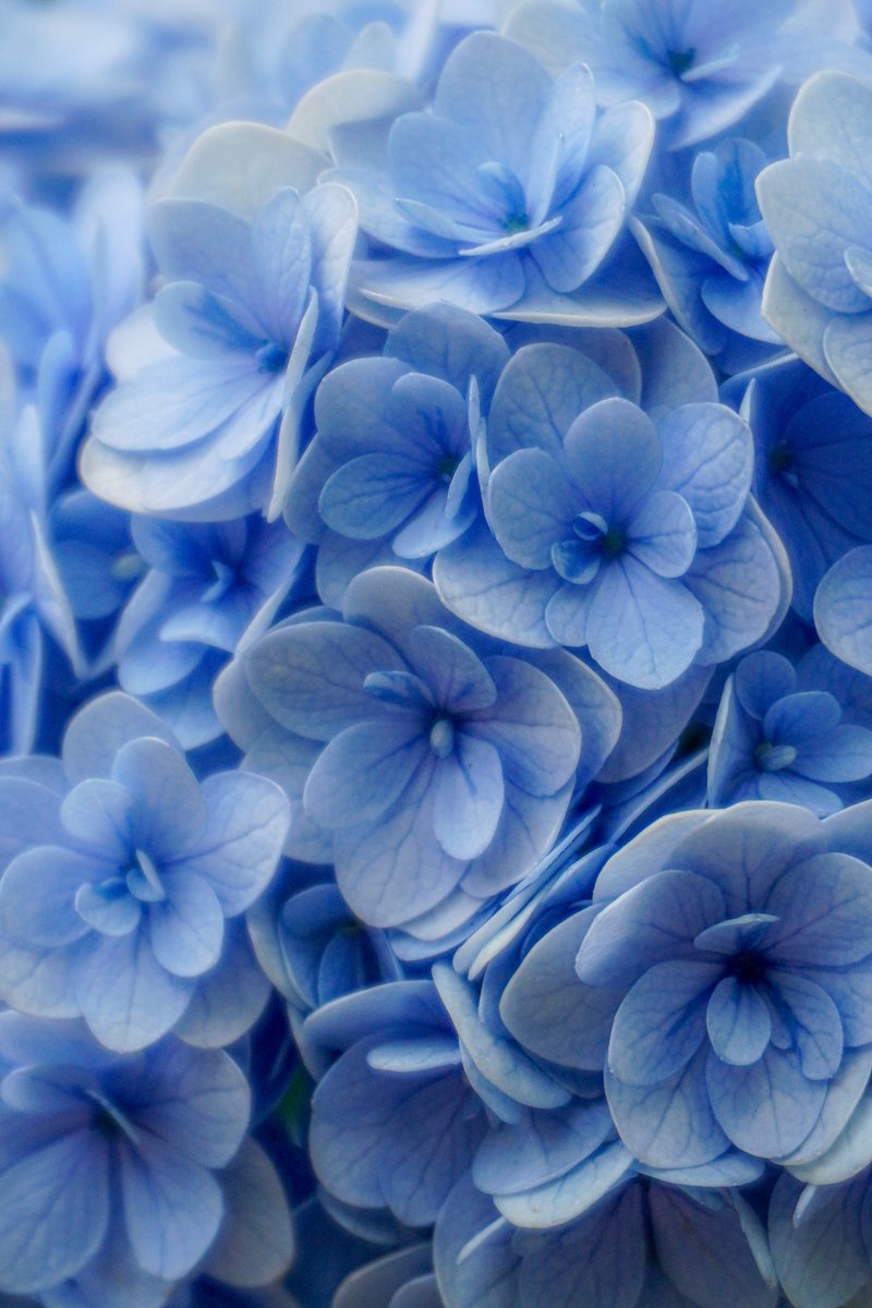 𓐍 𓈒◌*｡♡Sorαrα ✿𓈒𓂂◌𓈒𓐍 復活しました！ (@sorara1212) on Twitter photo 