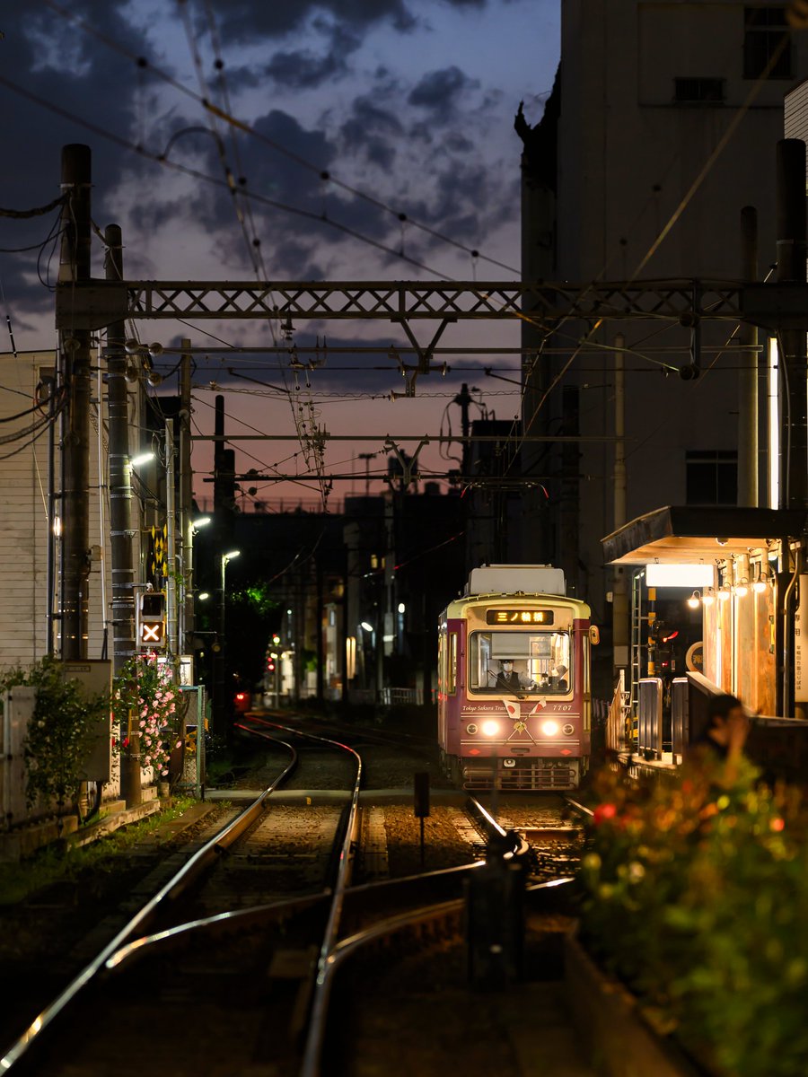 都電荒川線【135mm】

#写真好きな人と繋がりたい
#単焦点レンズ練習中