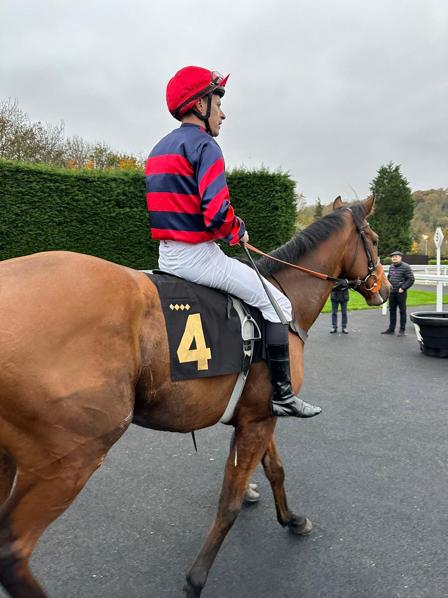 RoyaleRacing1's tweet image. Lease shares available in the ultra consistent Equion. Due back on the racecourse in July. DM for more information. Trained by all weather champion trainer Tony Carroll. Lease shares available from 75 pound a month.