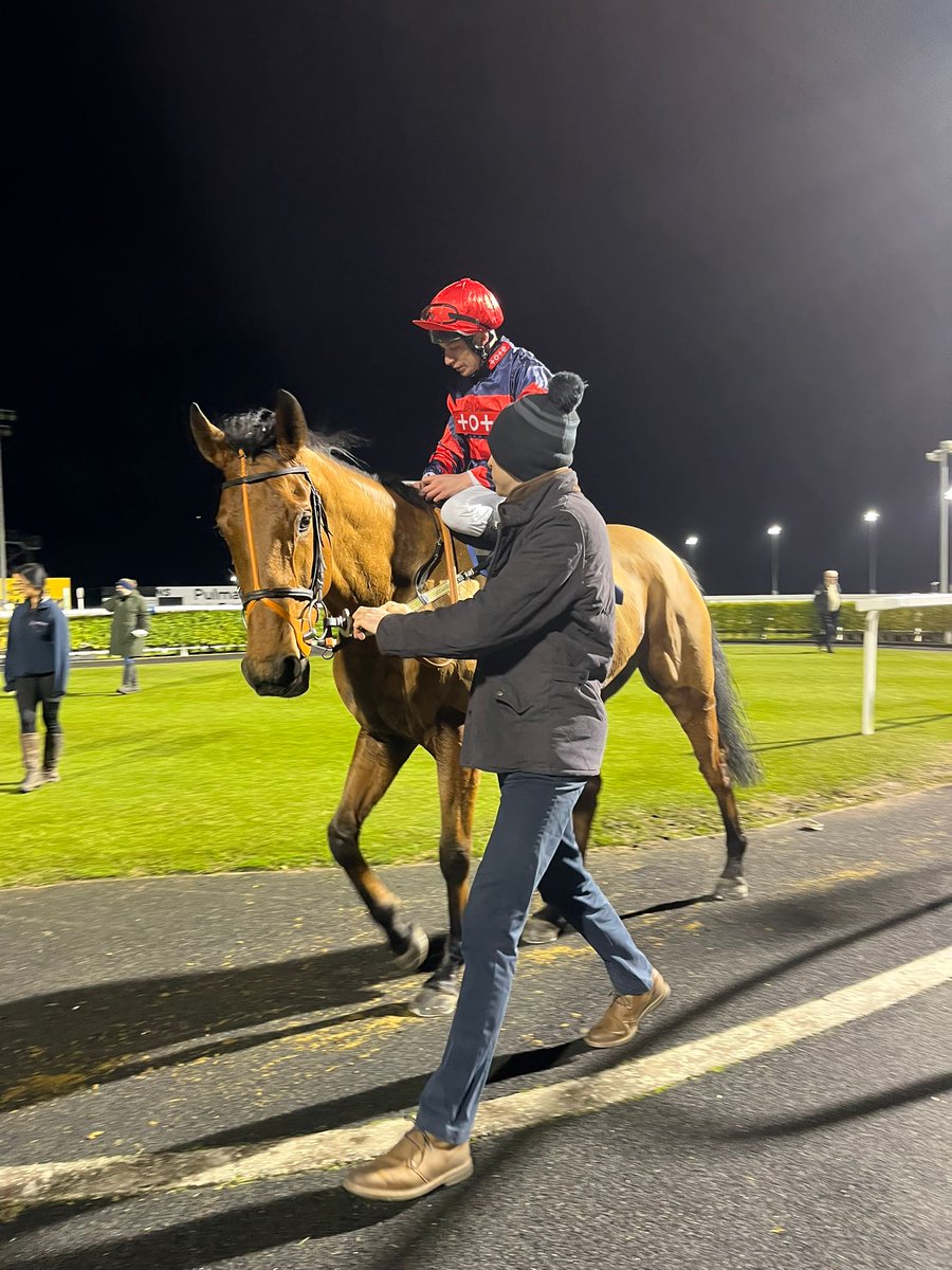 RoyaleRacing1's tweet image. Lease shares available in the ultra consistent Equion. Due back on the racecourse in July. DM for more information. Trained by all weather champion trainer Tony Carroll. Lease shares available from 75 pound a month.