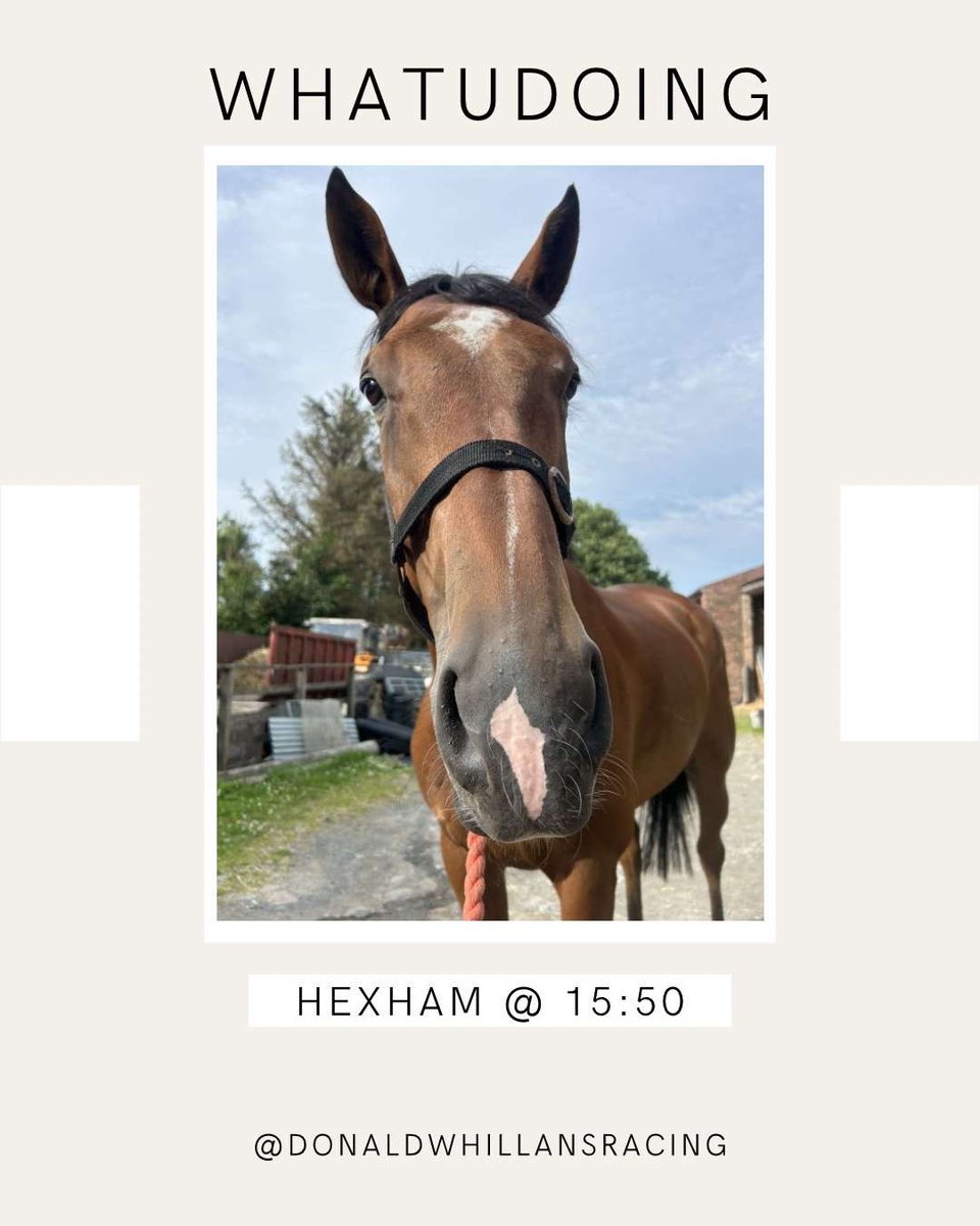 🏁Race Day🏁

We are off to <a href="/HexhamRaces/">Hexham Racecourse</a> today!🐴

⏰ 15:50
🐎 WHATUDOING
⚡️  <a href="/JoannaW_94/">Joanna Walton</a> the saddle 
🔑 for Mrs Diana Walton

🤞🏼Good Luck Team🤞🏼