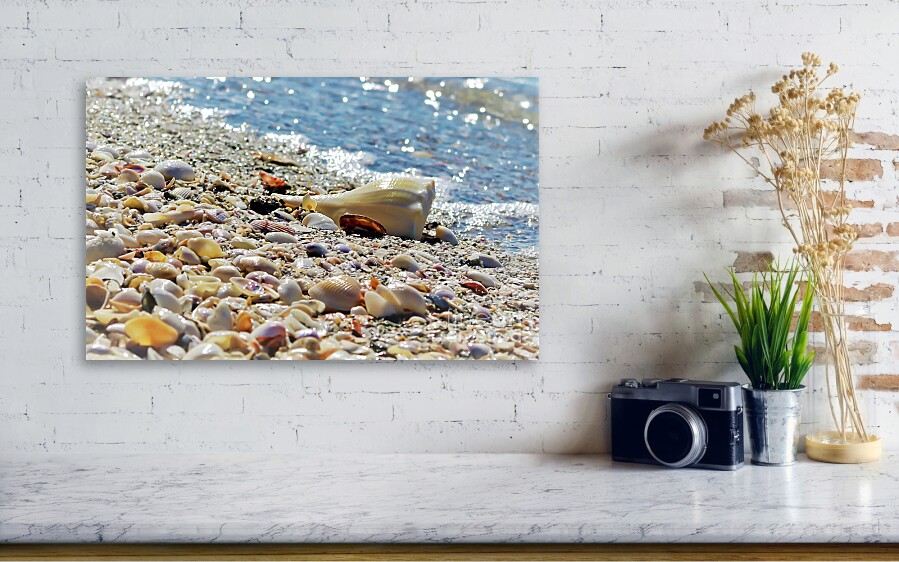 JoanneCarey64's tweet image. Blessings, everyone! 💙

"Shells" #canvas print 💙
#NaturePhotography #seashells #beach #coastal #tropical #BeachVibes #wallart #homedecor #gifts 

SEA
     SAND 
           SHELLS
                 SUNSHINE...
                        TROPICAL PARADISE

3-joanne-carey.pixels.com 💙