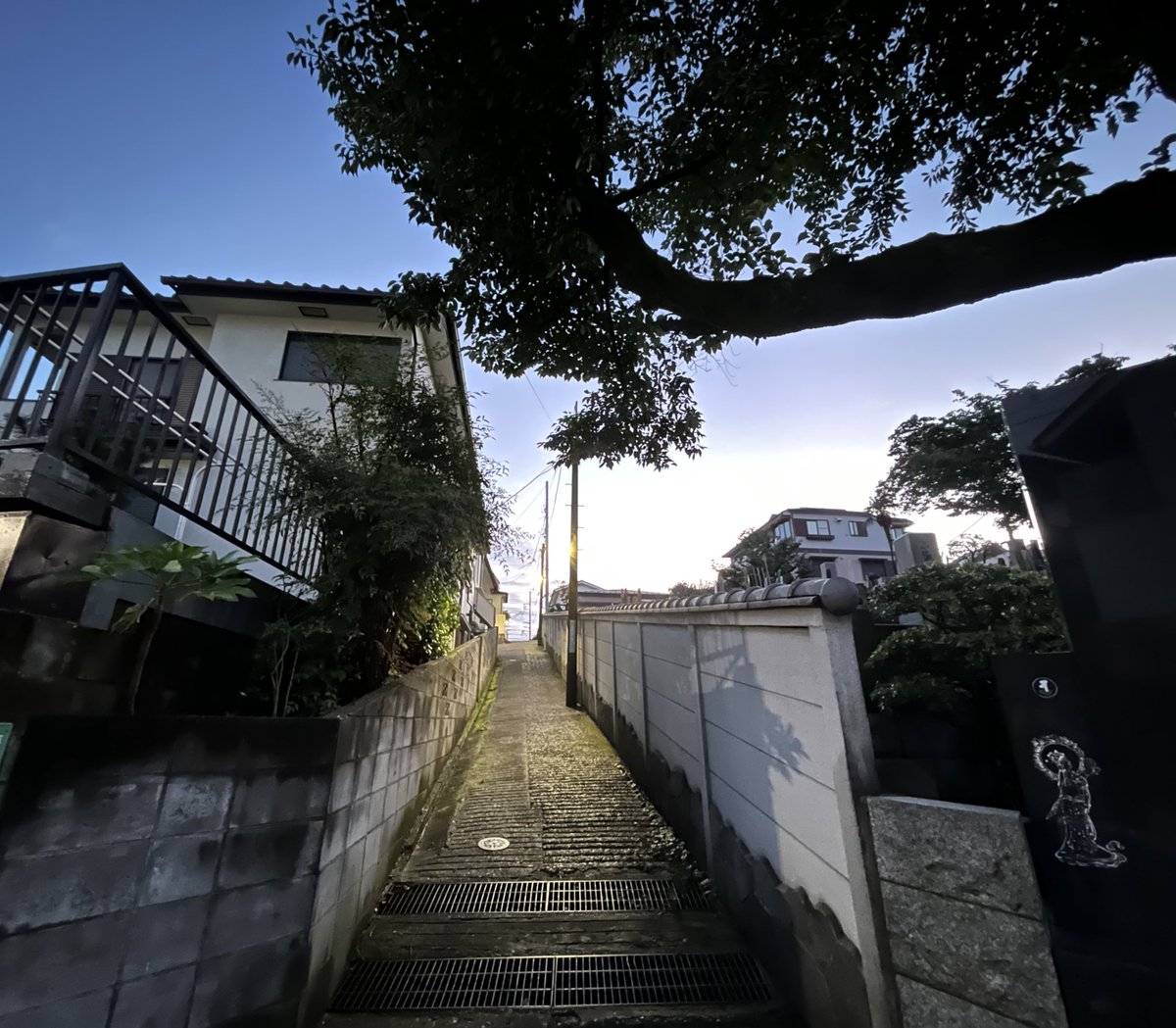 iiroji_bot's tweet image. 
