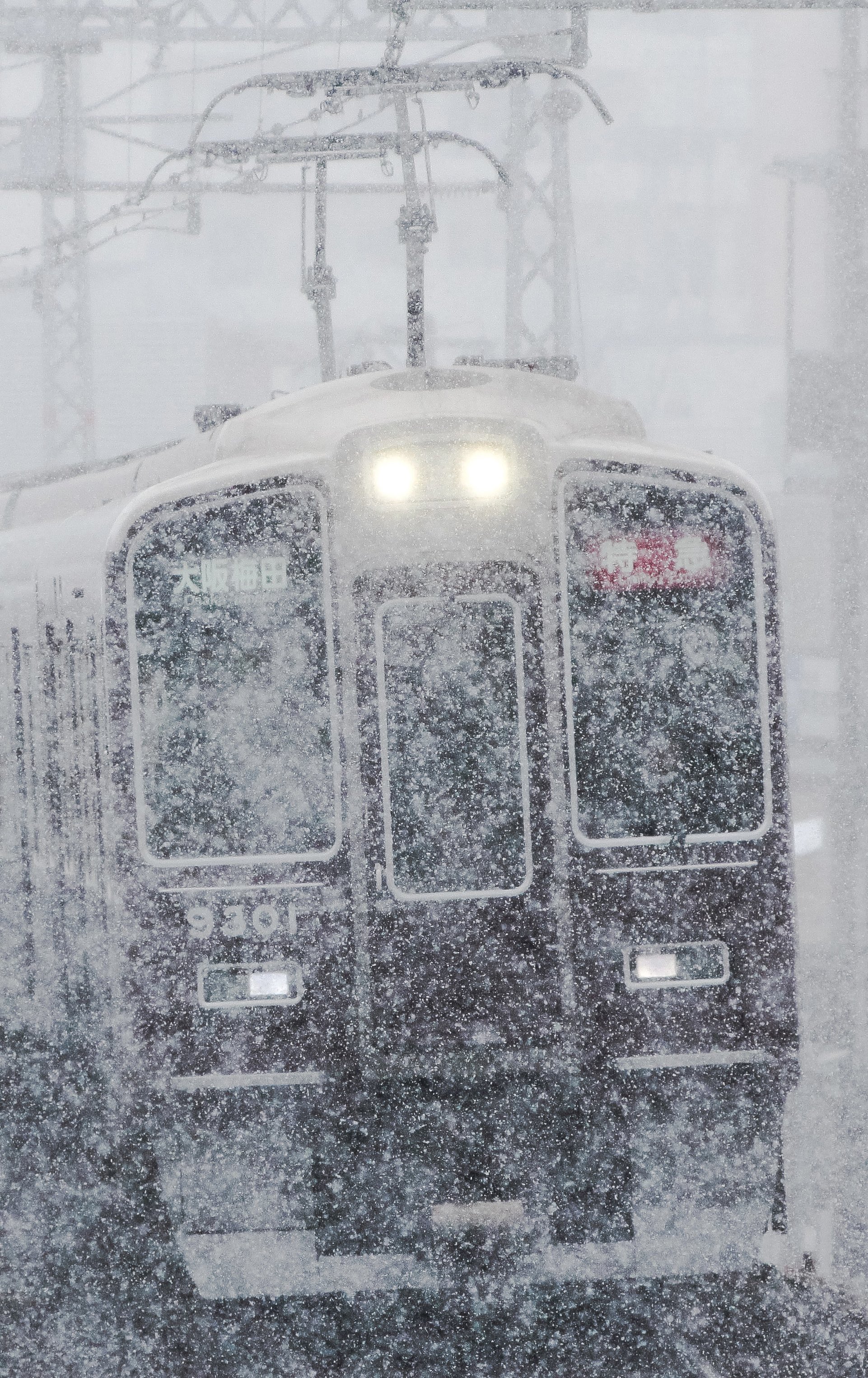 ⛄️金ちゃん⛷⛄️🇯🇵(雪)パウダー輸送🚛💨⛄️☆✨ on X: 