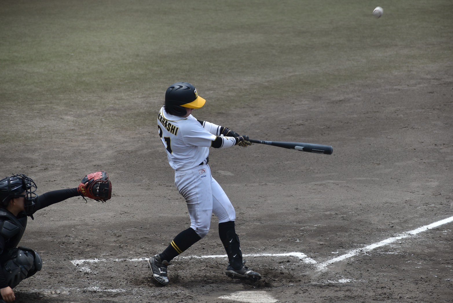 阪神タイガース Women｜阪神タイガース 公式サイト