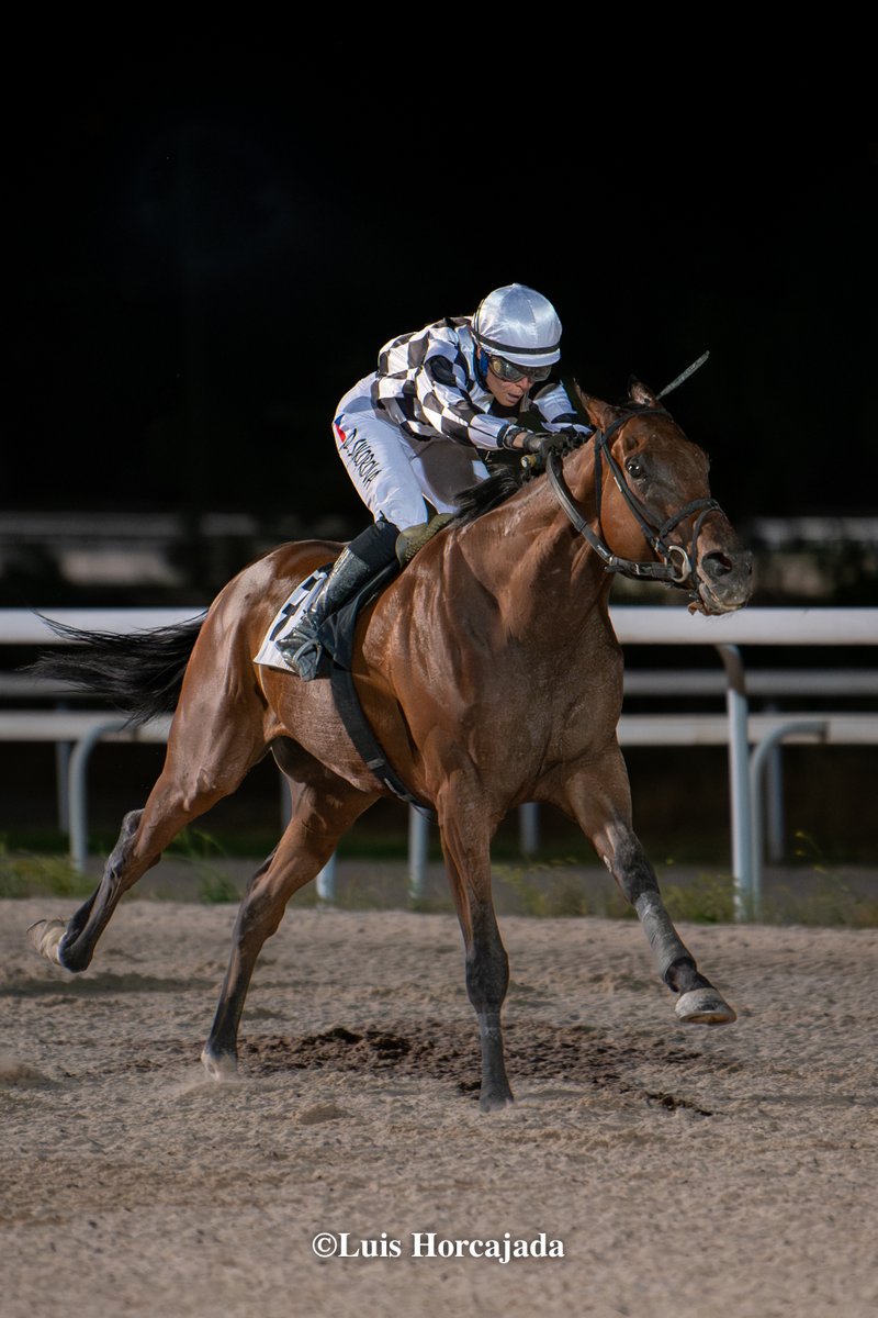LUIS HORCAJADA (@luishorcajada66) on Twitter photo PINSAPO (IRE) 5 a.- Cas. c. Zoustar y Daivika (Dynaformer).
Premio Abe de Fuego (Cat. D) - Distancia: 1700 mts. Pista: Fibra - Tiempo: 1'53"02 - Dividendo: 8,90€. Denisa Sikorova / <a href="/ROSELLRACING/">JCROSELLRACING</a> / Cuadra Cometa. PINSAPO (IRE) 5 a.- Cas. c. Zoustar y Daivika (Dynaformer).
Premio Abe de Fuego (Cat. D) - Distancia: 1700 mts. Pista: Fibra - Tiempo: 1'53"02 - Dividendo: 8,90€. Denisa Sikorova / <a href="/ROSELLRACING/">JCROSELLRACING</a> / Cuadra Cometa.